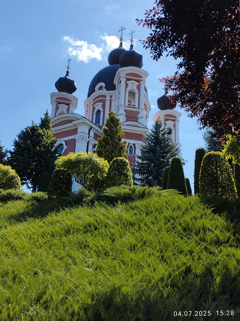 Курки